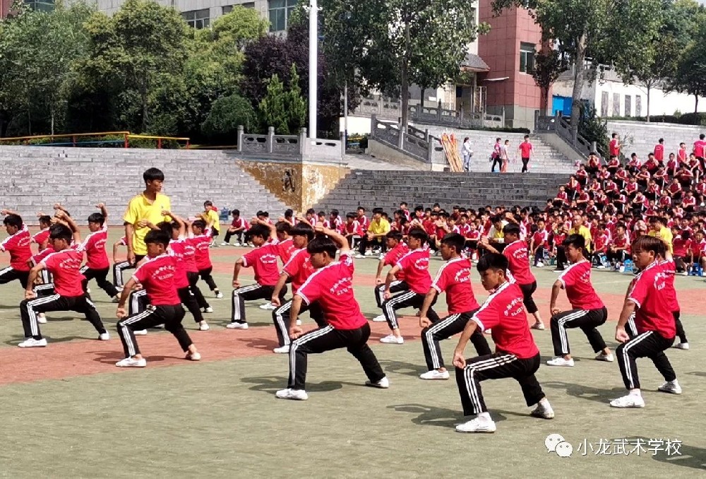 武术学校哪家好