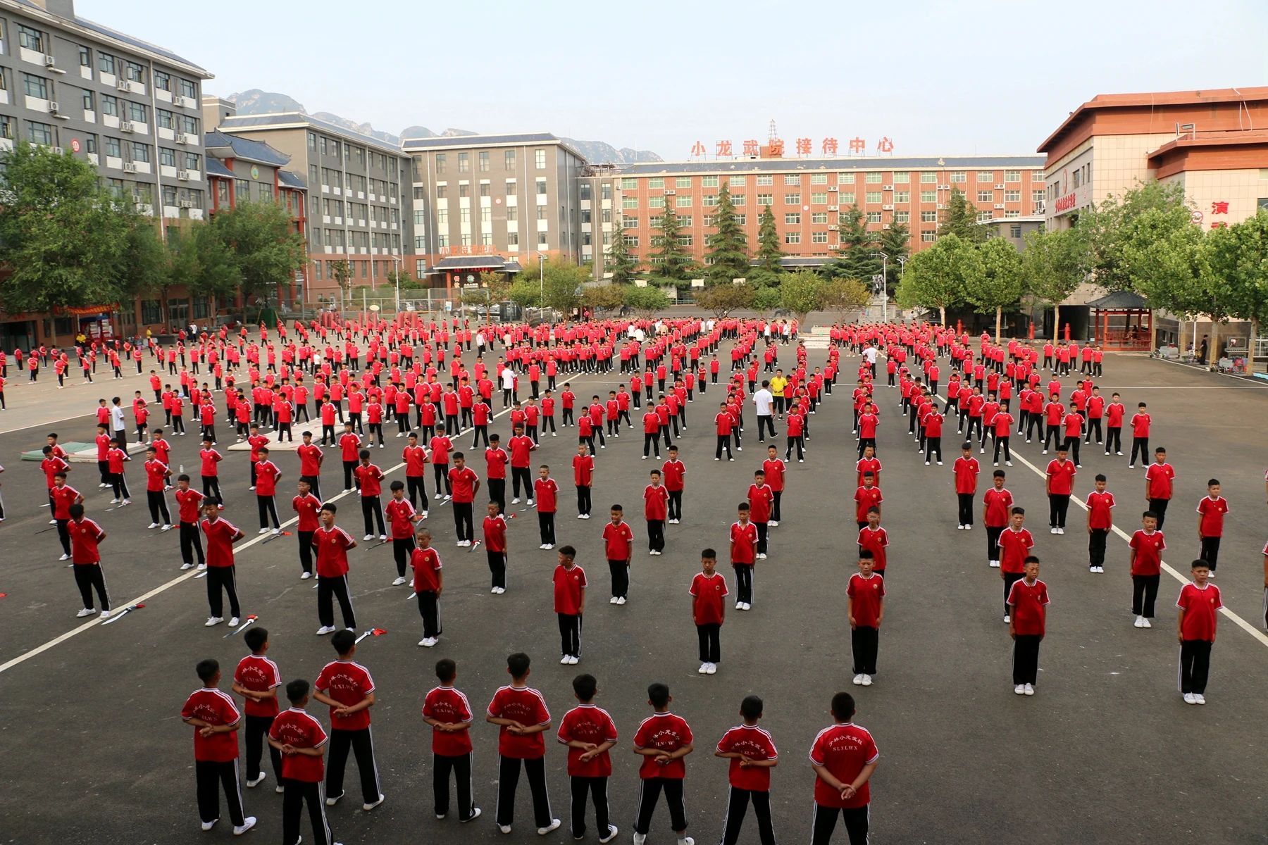 河南少林小龙武院
