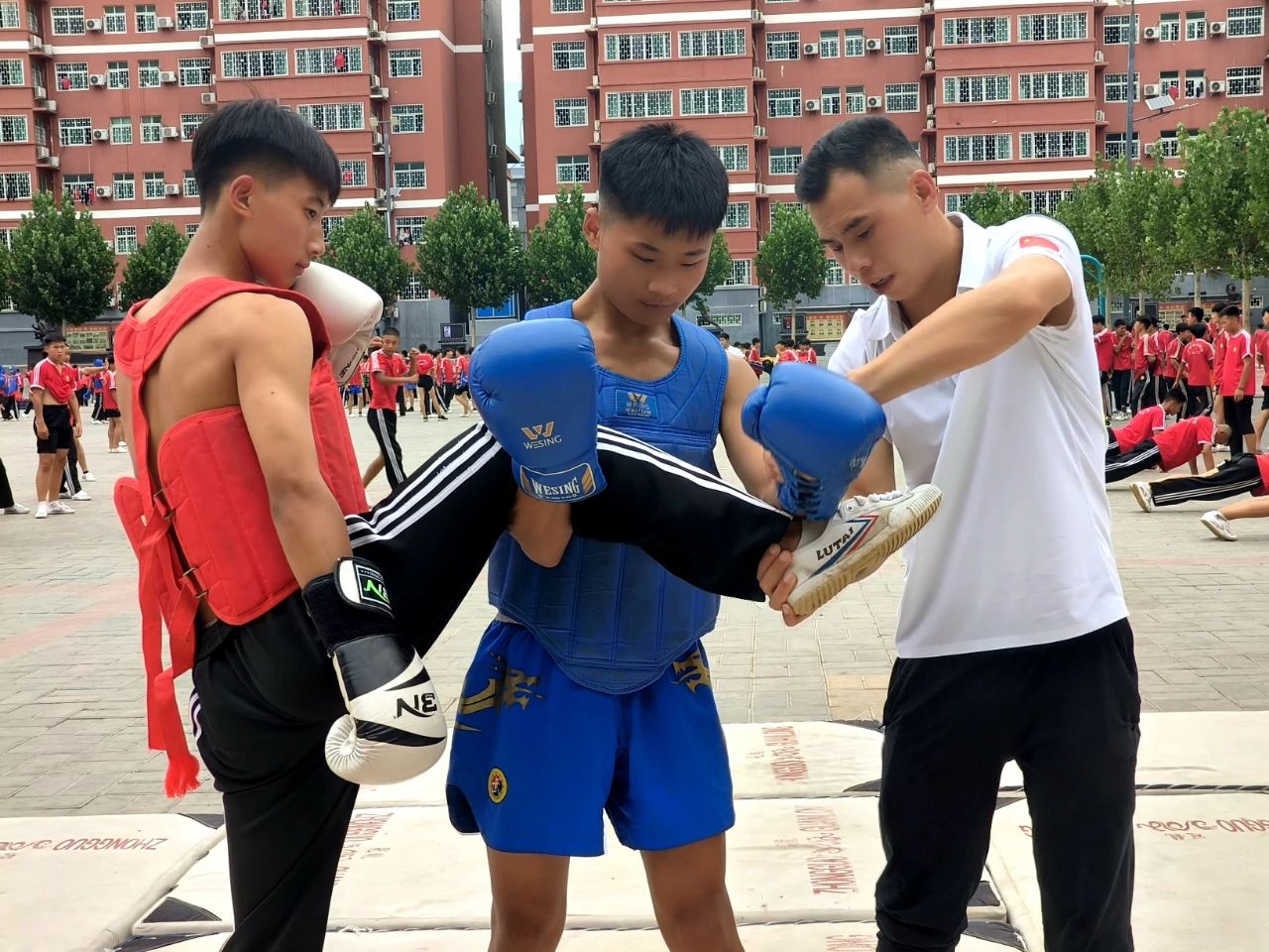 嵩山小龙少林武术学校