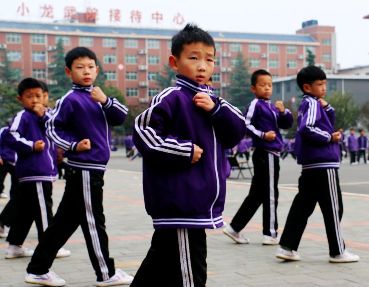 少林小龙武校：热爱为帆，手足为伴 新疆姐弟的仨月成长与逐梦路