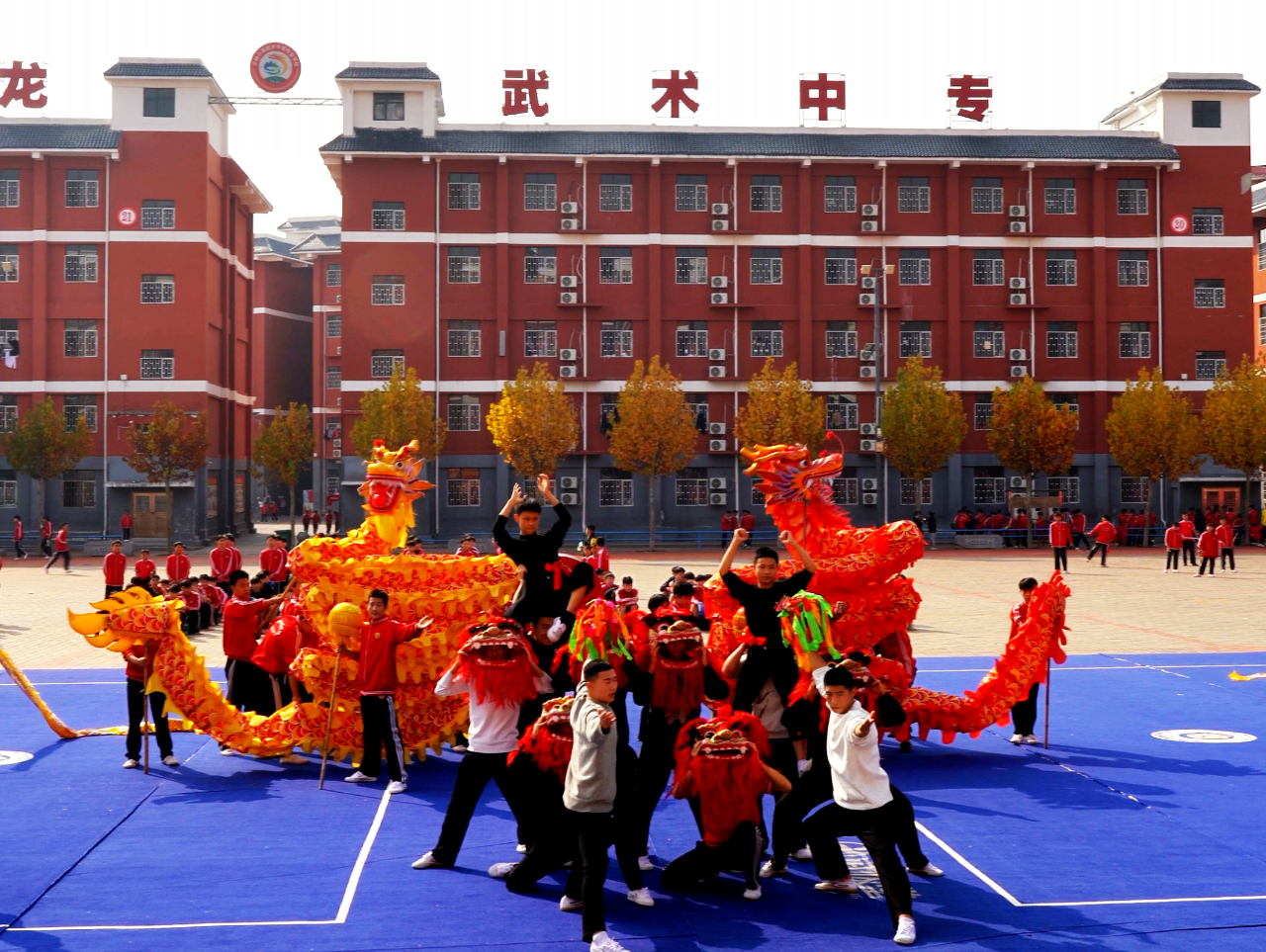 少林小龙武校竞训表演部：竞训夯基础、表演呈盛宴，全力筹备第77届校运会