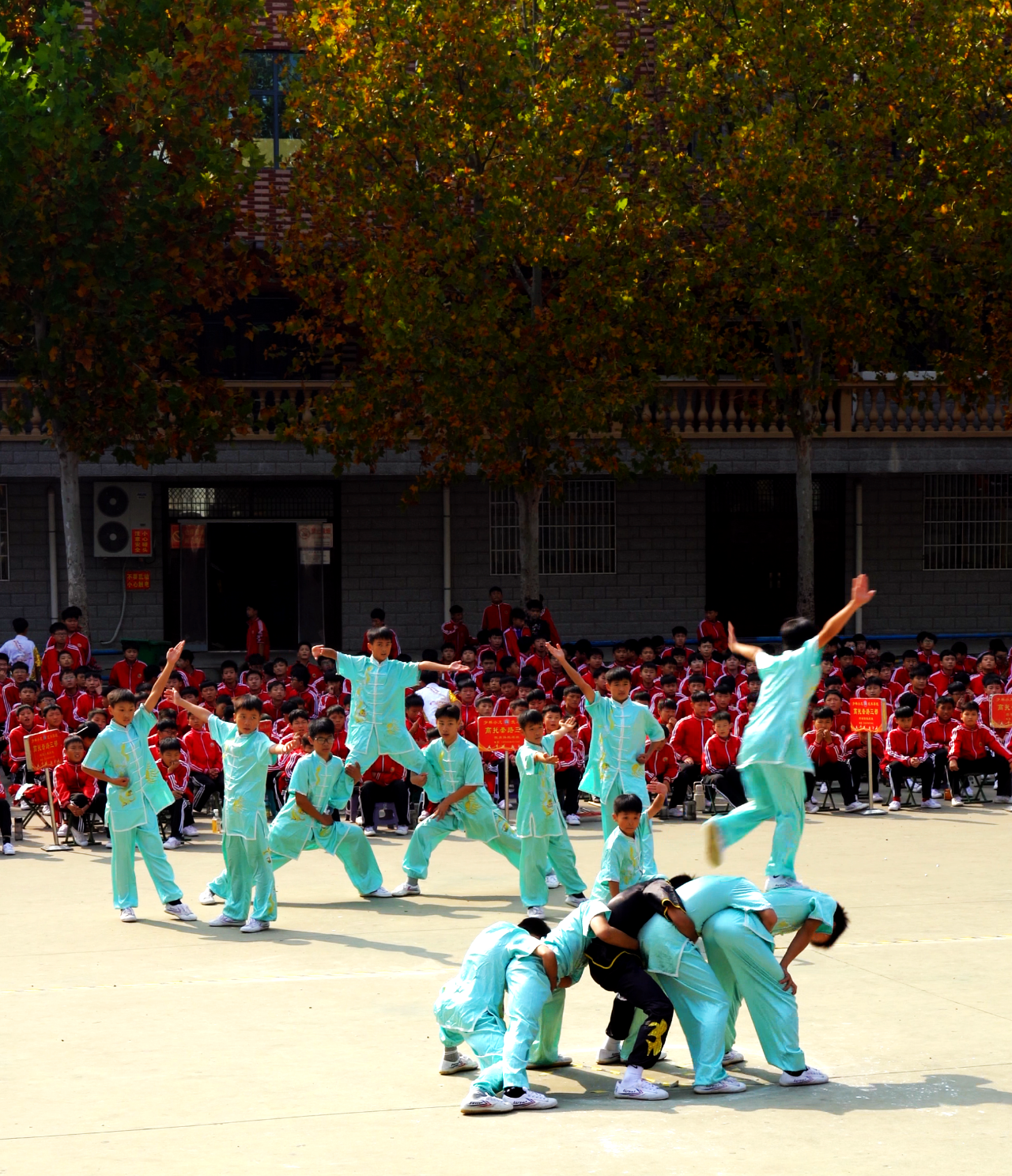 少林小龙武校武教高托部：规范创新并举 精研筹备校运