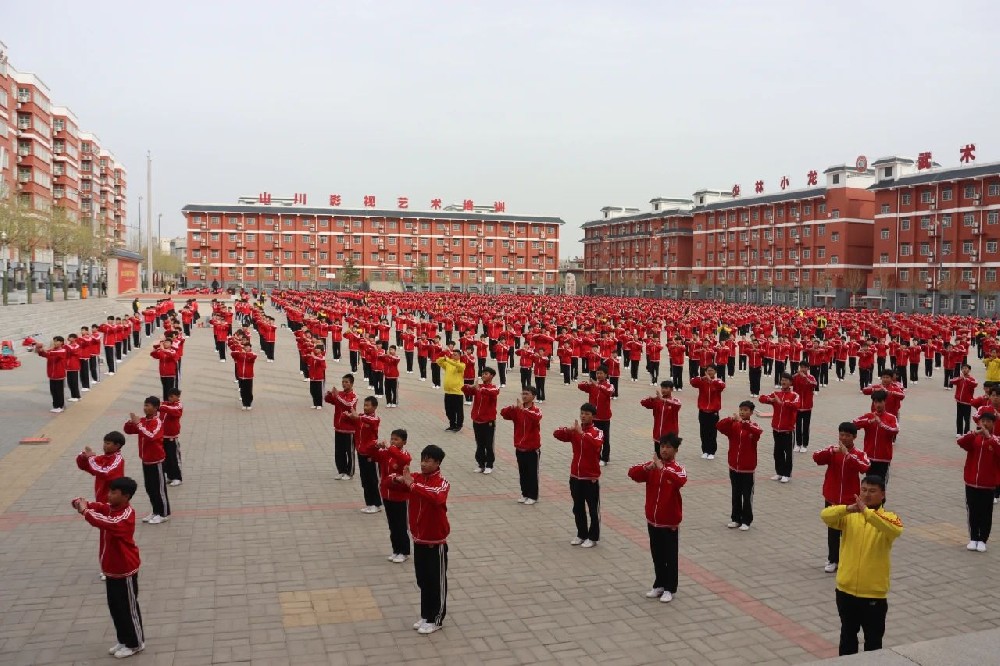 河南嵩山少林小龙武校一年学费多少钱？2026最新全解析，透明收费无套路！