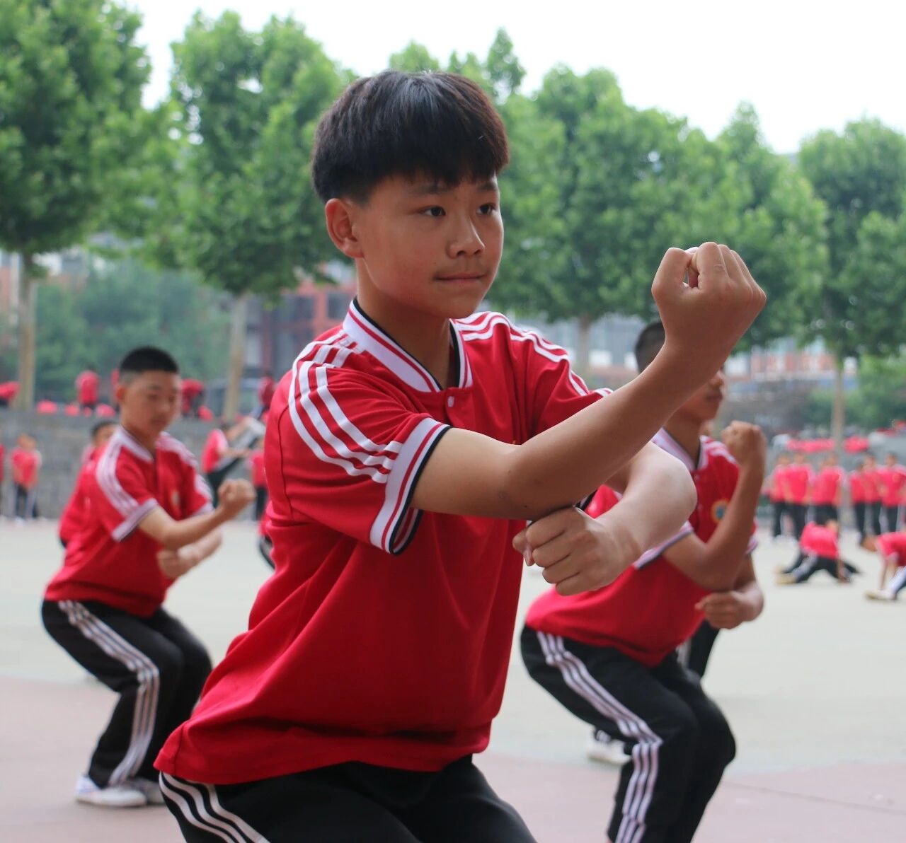 少林小龙武校