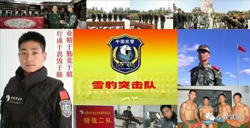 少林小龙武院培养精英健将之冯仰志