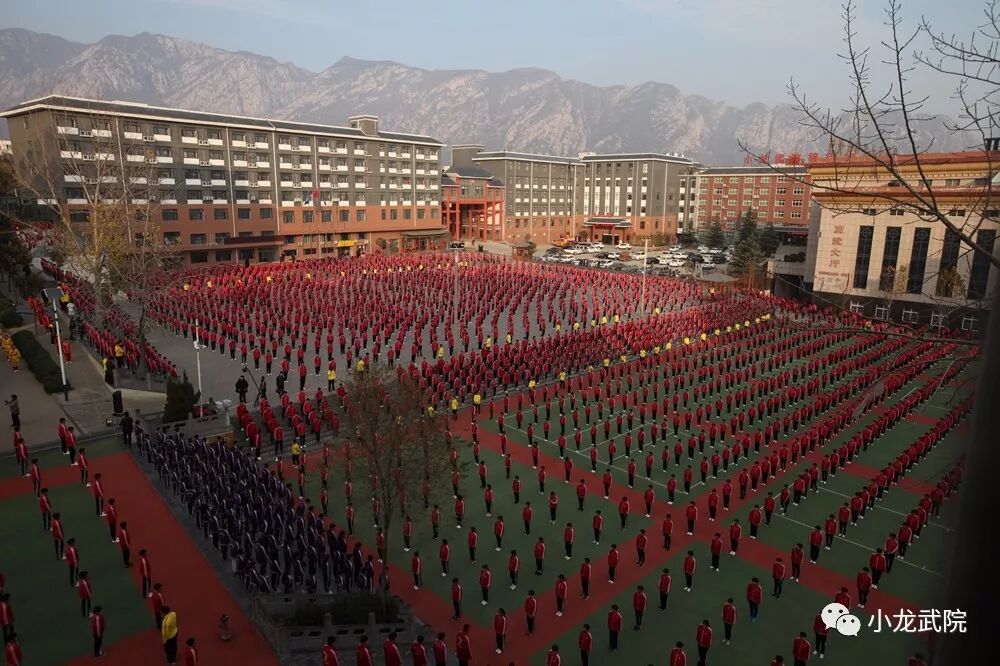 小龙武院