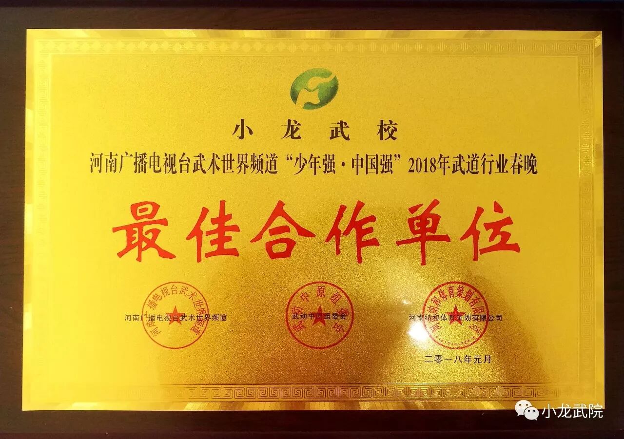 少林小龙武院《少林魂》参加河南电视台《武动中原》春节晚会