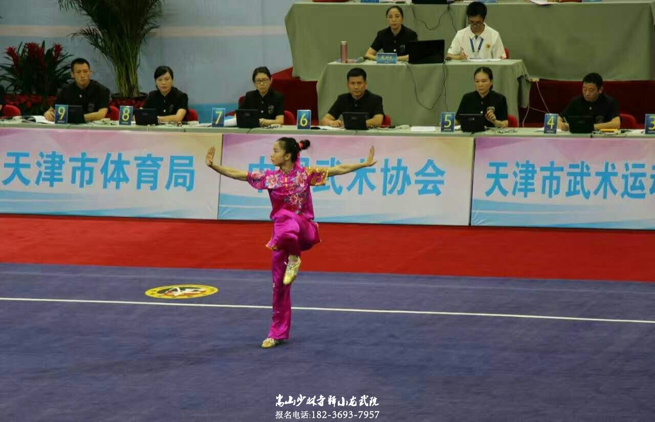 2016年全国武术套路冠军赛落下帷幕