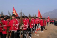 少林小龙武校昨天今日信息综合发布