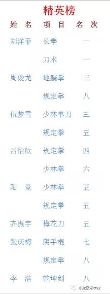 少林小龙武校竞训套路代表队第十九届全国武术学校套路比赛精英榜
